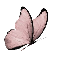 2ba82b6604e8b06b151a156565e61b7d-removebg-preview